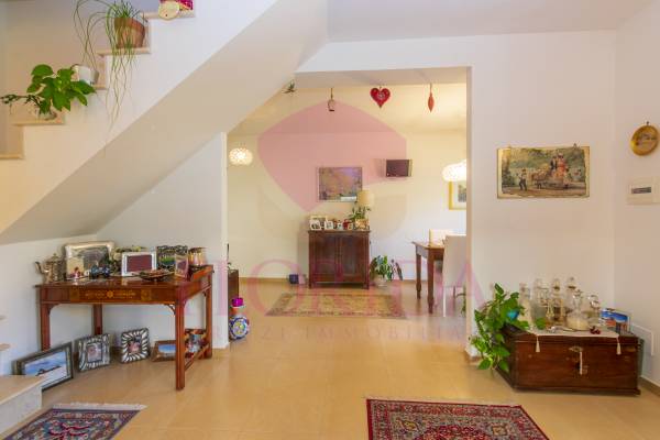 Foto5: 