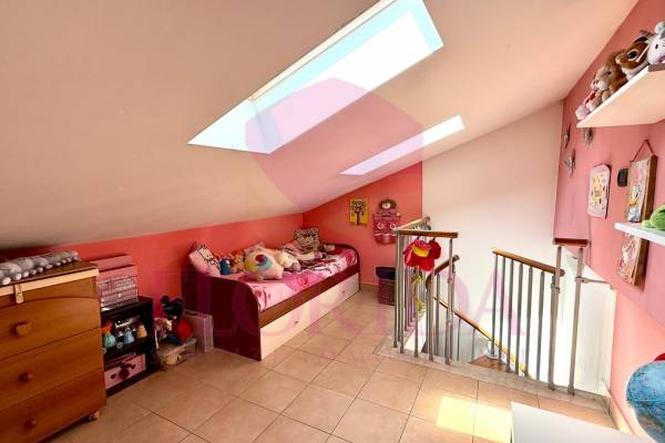 Foto13: 