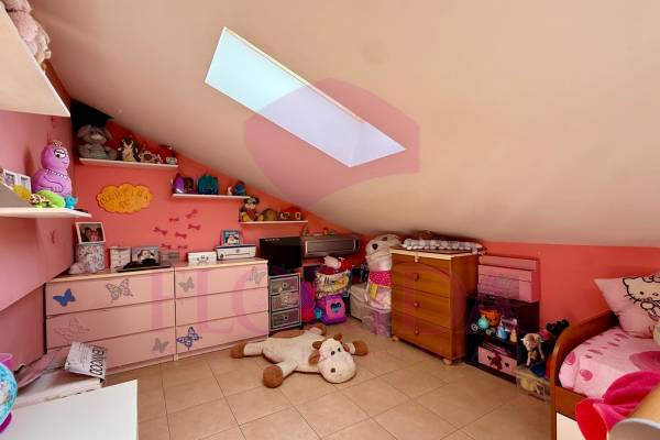 Foto14: 