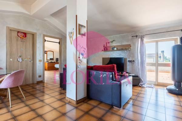 Foto11: 