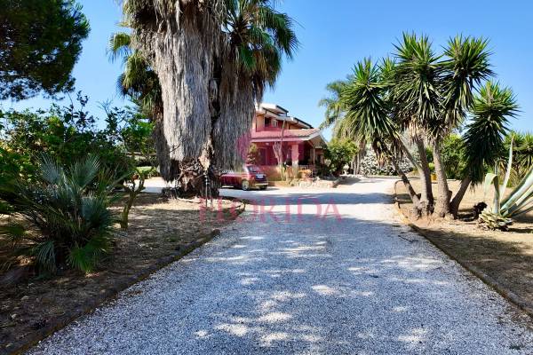 Foto2: 