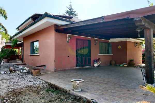 Foto3: 