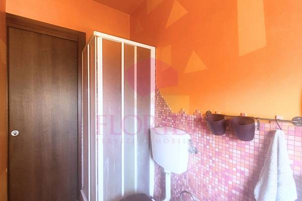 Foto11: 