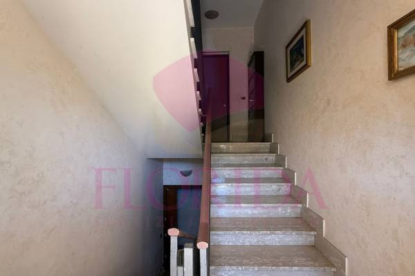 Foto5: 